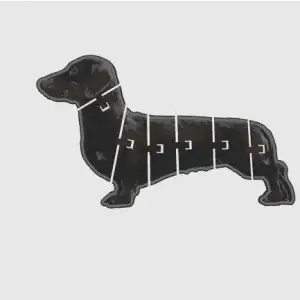 sausage dog