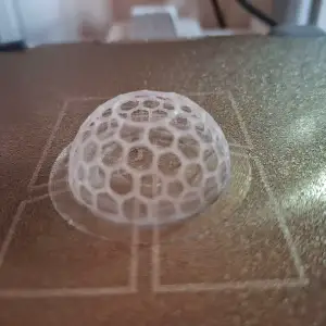 Aquarium moss dome