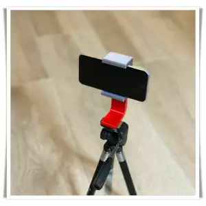 camera mount