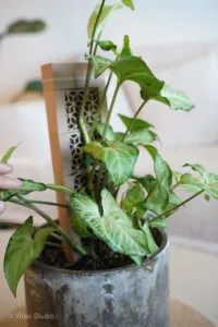 CLIMBIT THIN - Modular Self Watering Moss Pole System