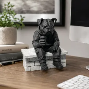 THOMAS - THE COOL BULLDOG ON WALL 🐶