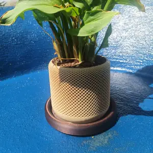 Pot Plant with Mesh and Drip Tray