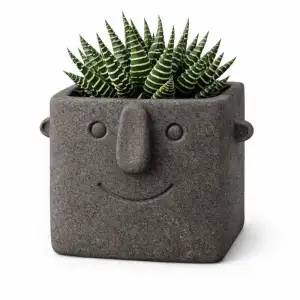 Face Pot Planter - Succulent - Cactus - Potus