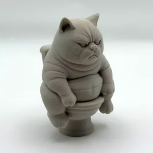 Grumpy Potty Kitten
