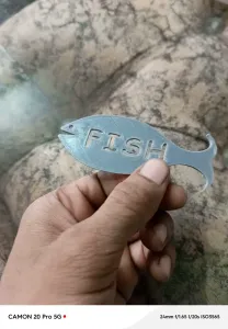 Fish Key Chain
