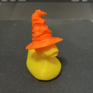 Harry Potter Duck in Sorting Hat