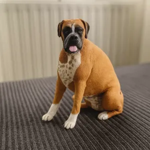 Boxer