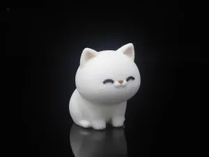 绒毛小猫
