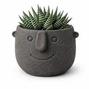 Face Pot Planter - Succulent - Cactus - Potus