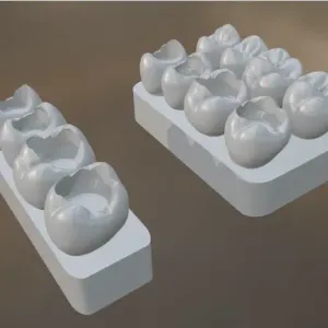 Dental Restoration Practice Set – Lower Posterior Teeth (4–7