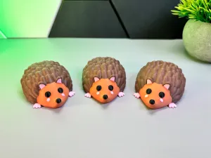 Cute Hedgehog