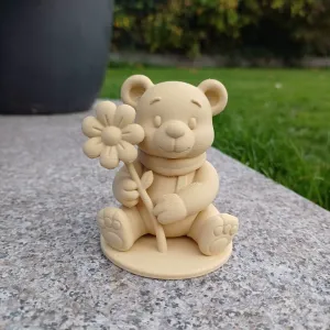 Teddy Bear with Flower