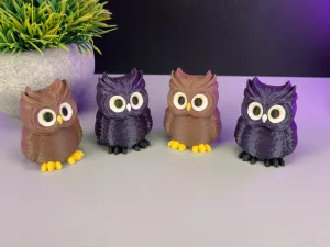 Owl