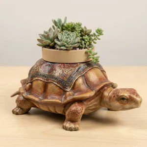 Turtle Planter - Succulent Pot Holder - Decoration