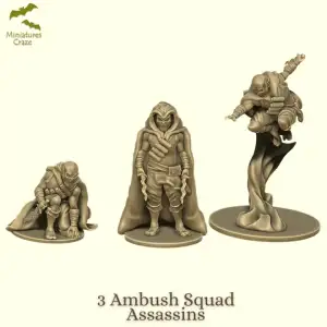 Mercenary Assassin Pack