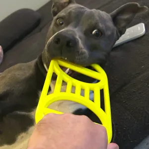 JOUET ANNEAU POUR CHIEN