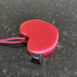 Heart Sd card holder