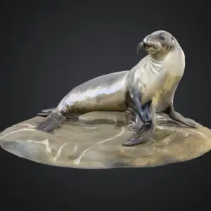 Seal lounging on a Rock