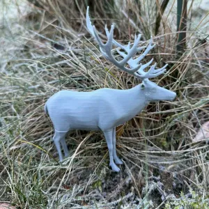 Normal realistic deer
