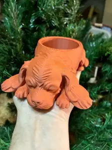 Cavalier King Charles Spaniel - dog bowl