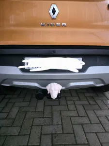 Golden Retriever Tow Hitch/Ball cover