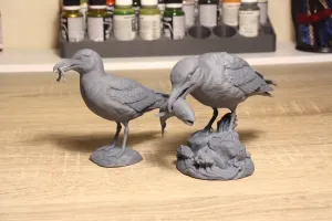 Hunting gulls
