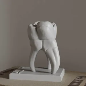 Anatomy of Moral Tooth