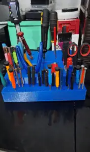 organizador