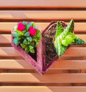 Heart-pots