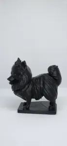 Pomeranian dog