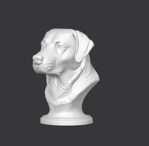 Labrador Retriever Bust