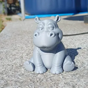 Happy Hippo Buddy