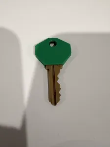 Schlage Key Cover