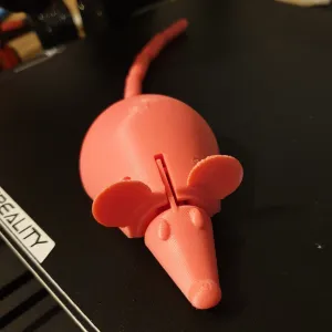 Rat for Cat