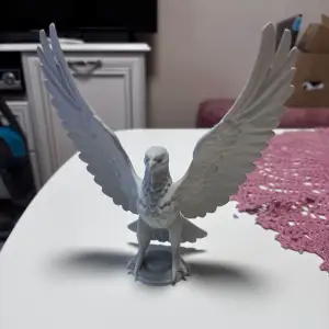 Freedom eagle