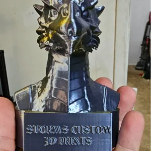 Storm's Bust
