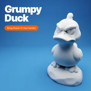 Grumpy Duck on a Rock