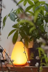 Flower bud craft lamp - No Support- 16 x220 cm