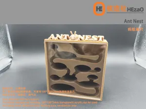 蚂蚁巢穴ant nest