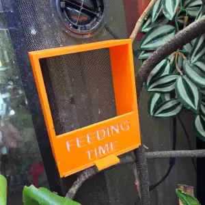 Cricket/worm feeder