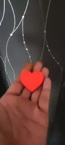 Heart Croc Charm