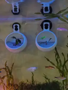 Aquarium_garden_pot