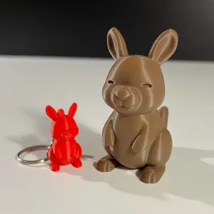 Cute Kangaroo