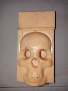 skull cigarette case