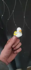 Duck Croc Charm
