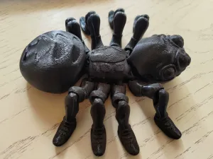 spider