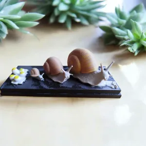 Life Cycle Series: Snail – Early Stage