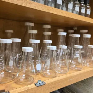 Erlenmeyer Flask Cap