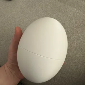 ostrich egg
