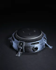 Infinity Alexa Holder
